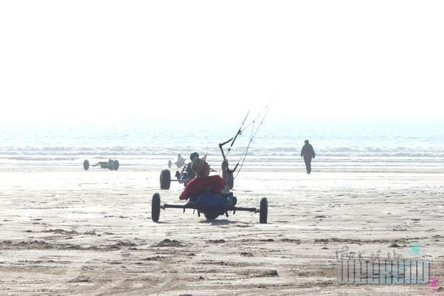 SBgower2007-106